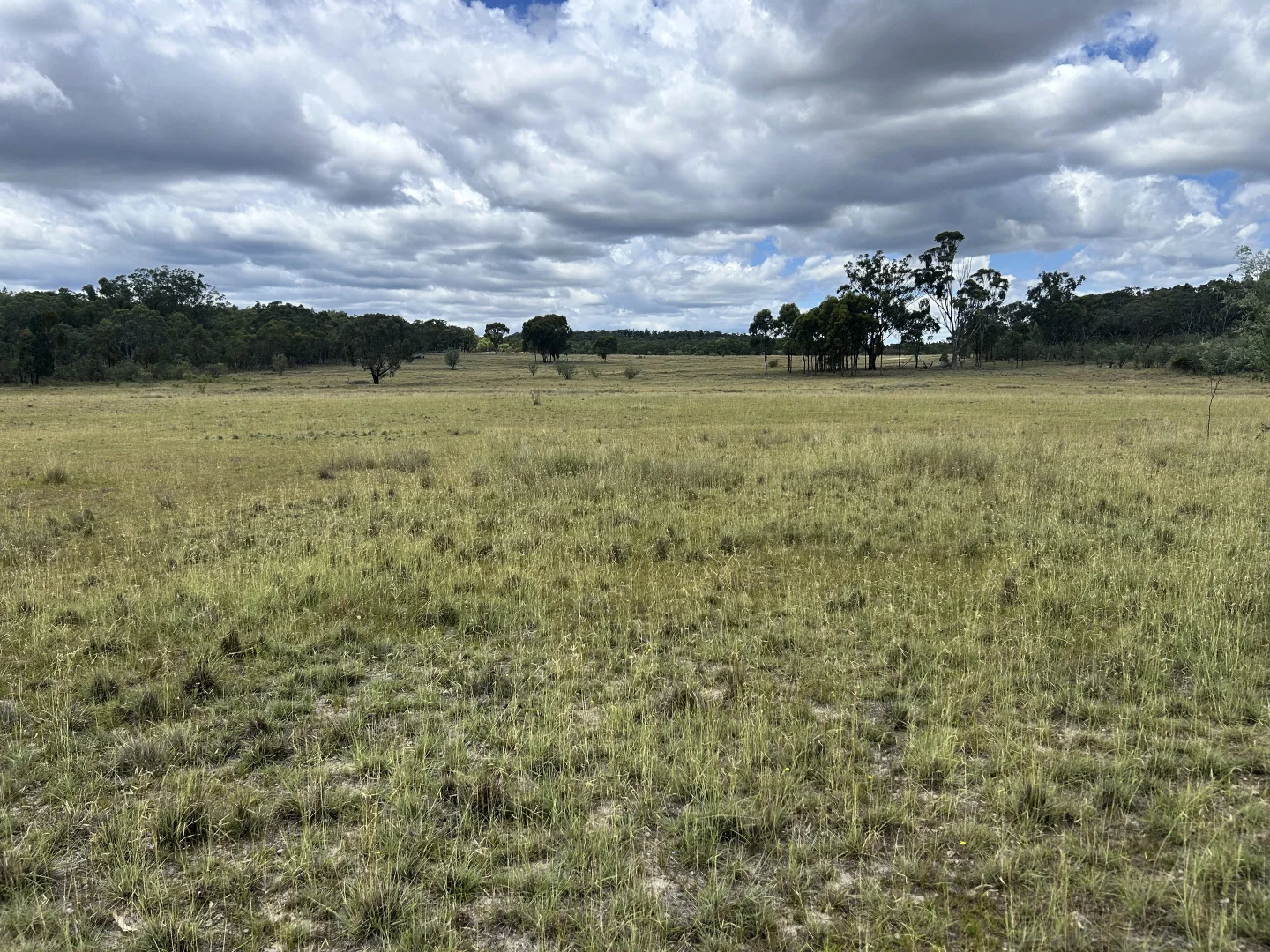 Additional image 7 of 60 Windorah Road, Inverell NSW 2360