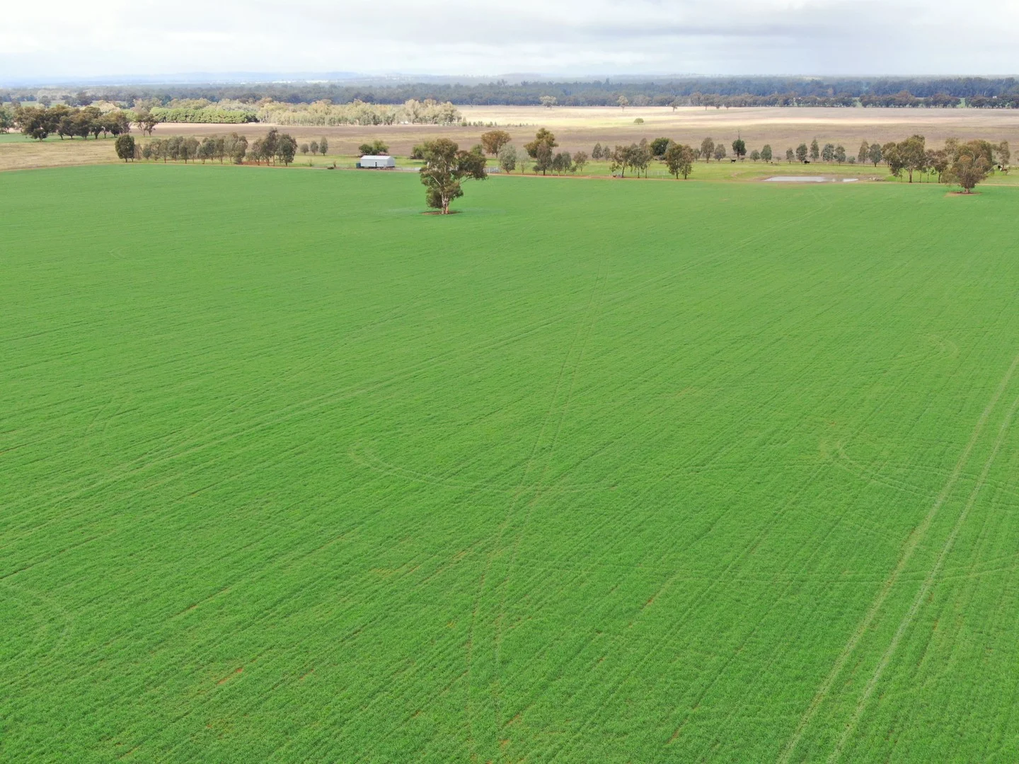 Additional image 2 of 2648 Old Narrandera Road, Currawarna NSW 2650