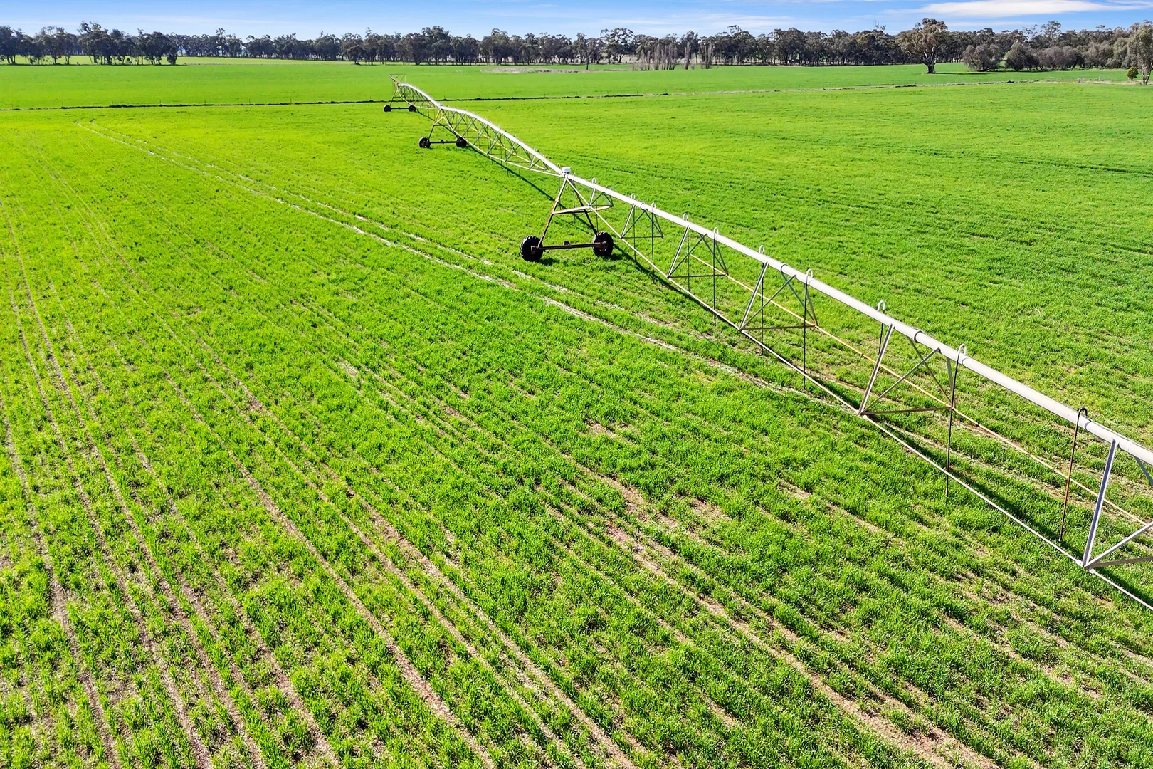 Additional image 4 of 1113 Baringhup-Eddington Road, Baringhup VIC 3463