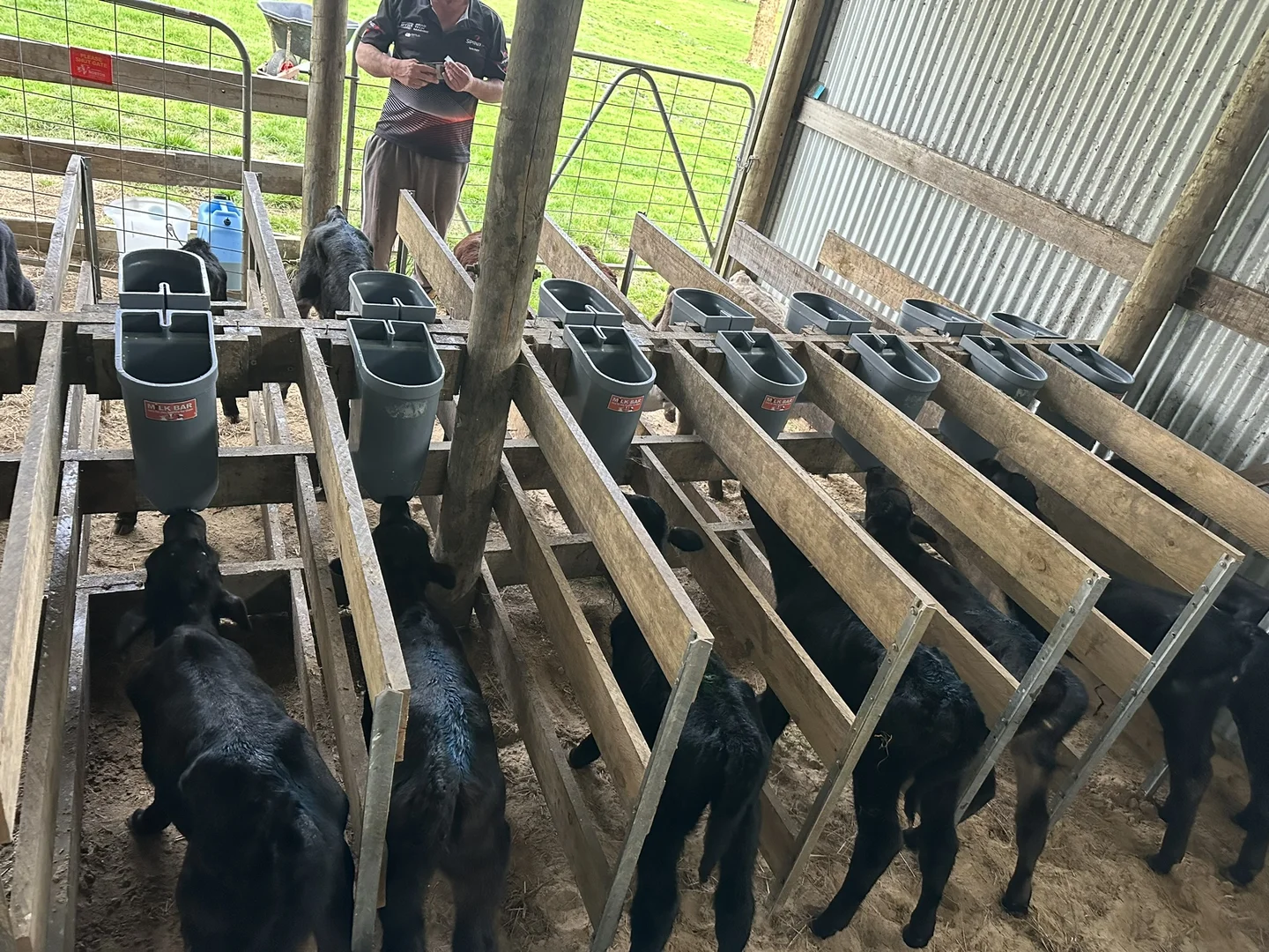 Additional image 23 of 90 Bischoffs Road, Pegarah TAS 7256