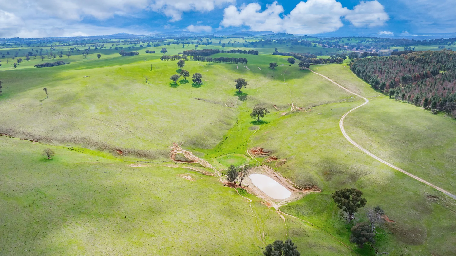 Additional image 17 of 1510 Culcairn Holbrook Road, Morven NSW 2660