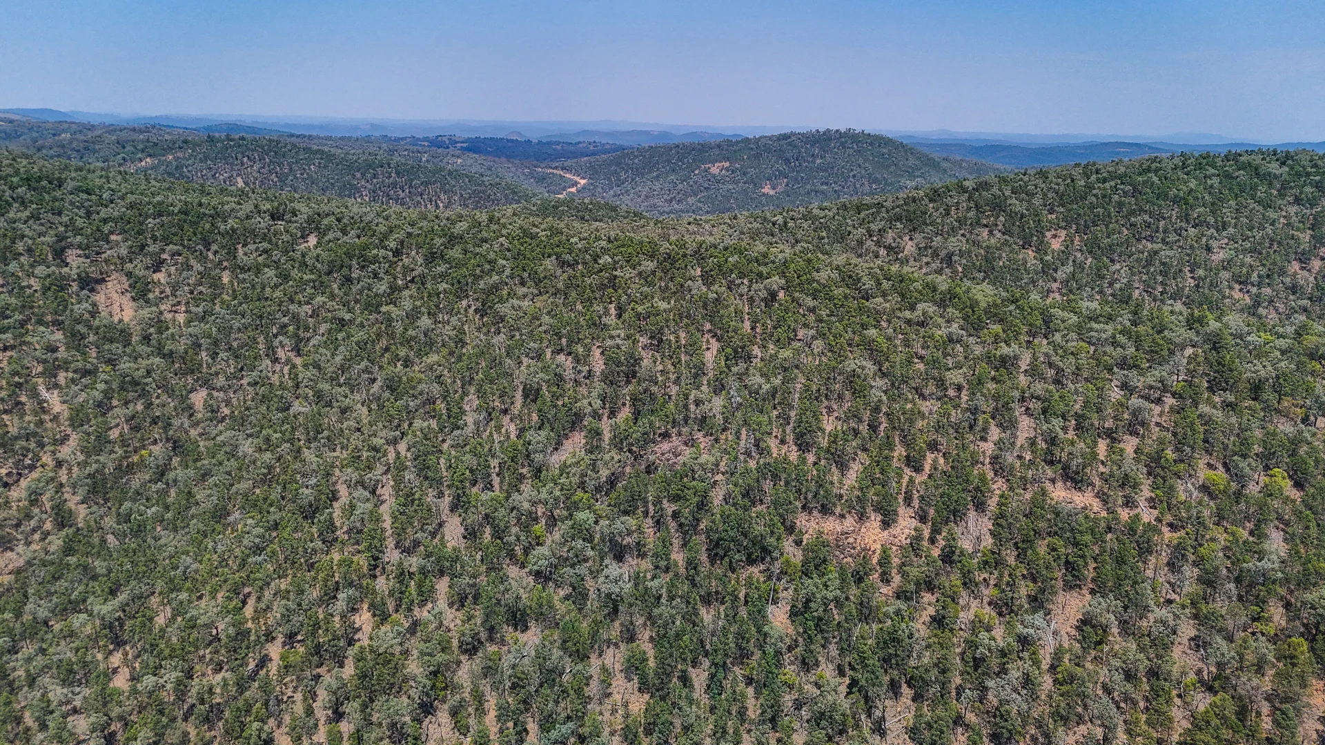 Additional image 10 of 404 Mountain Creek Road, Tenterfield NSW 2372