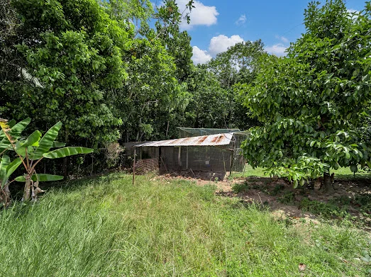 Additional image 6 of 582 Bingil Bay Road, Bingil Bay QLD 4852