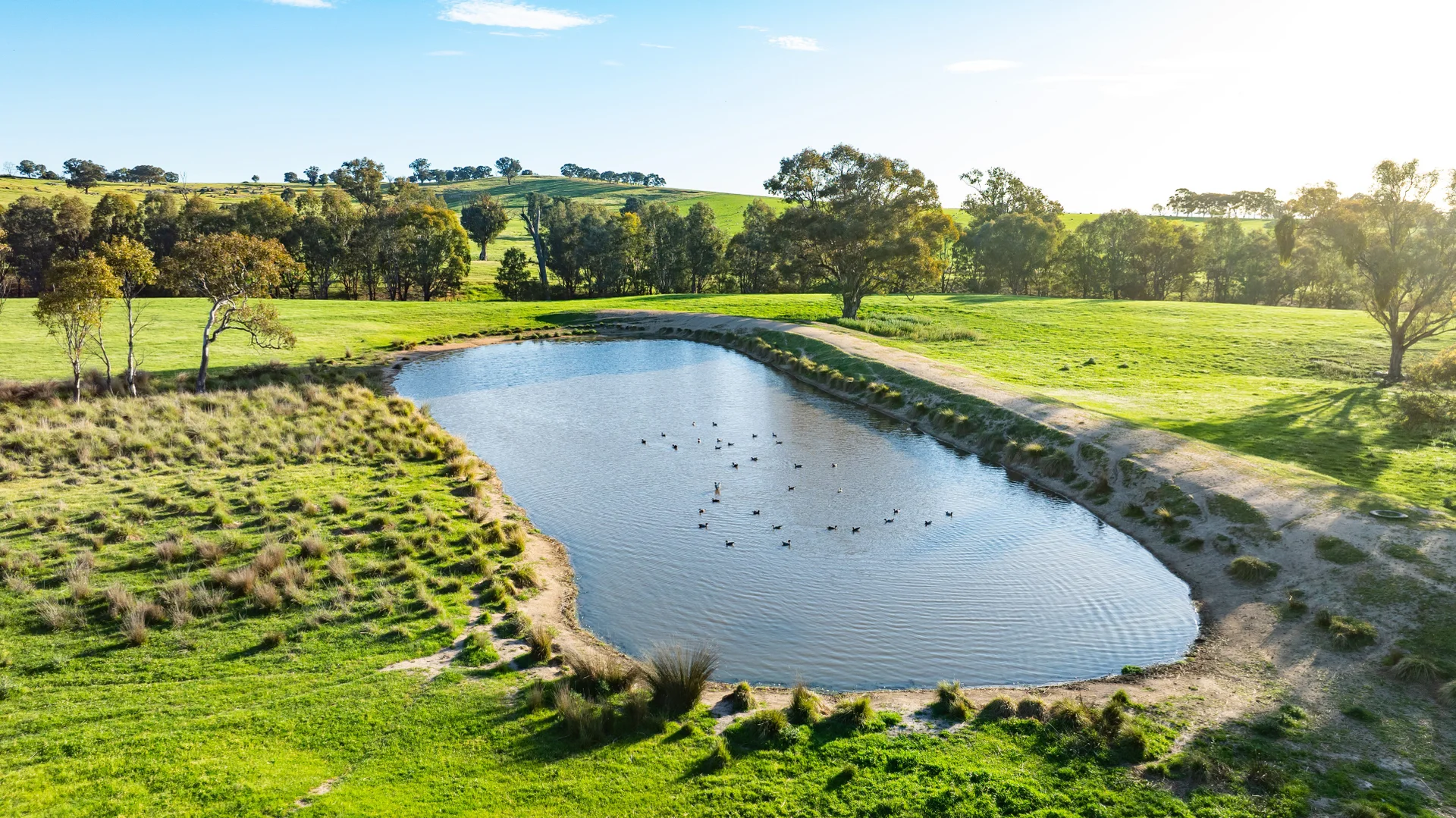 Additional image 9 of Lot 1/279 & Lot 2/281 Jingellic Road, Holbrook NSW 2644