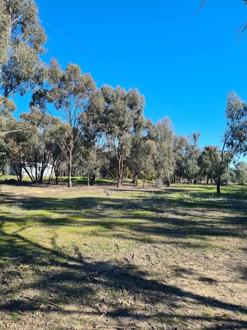 Additional image 23 of 78 Louies Hut Road, Moama NSW 2731