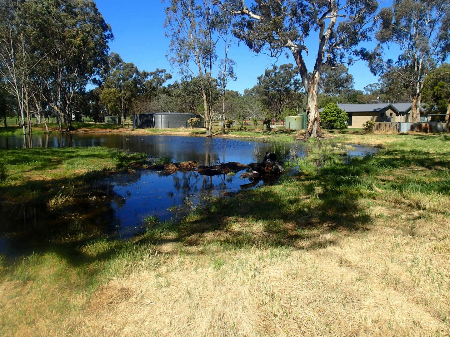 Additional image 26 of 303 Skehans Lane, Corowa NSW 2646