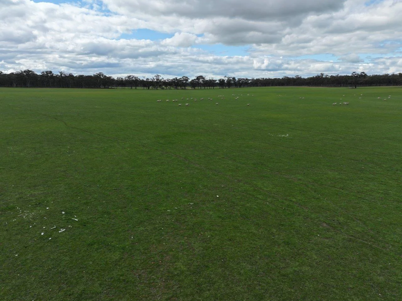 Additional image 20 of 457 Scenic Road, Eddington VIC 3472