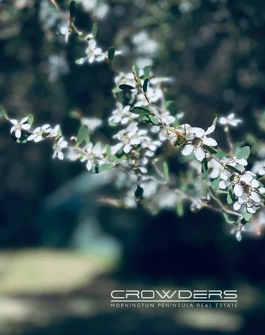 Additional image 16 of 32 Creedmore Drive, Rye VIC 3941