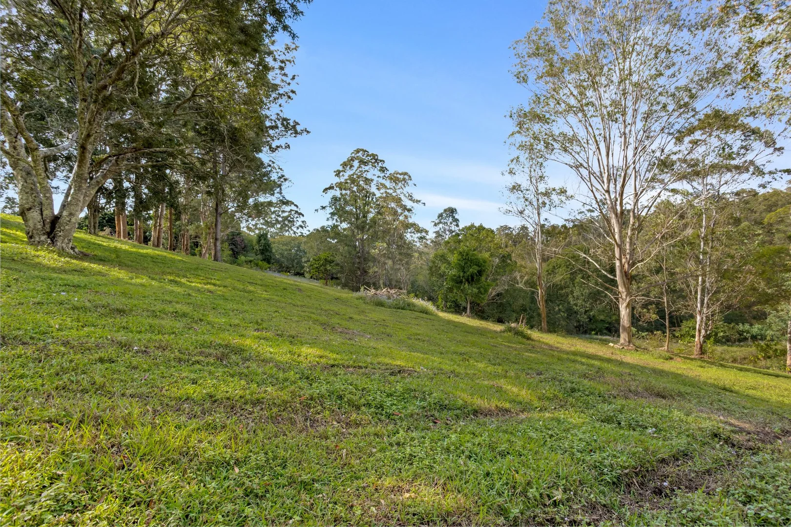 Additional image 22 of 855 Campbells Pocket Road, Campbells Pocket QLD 4521