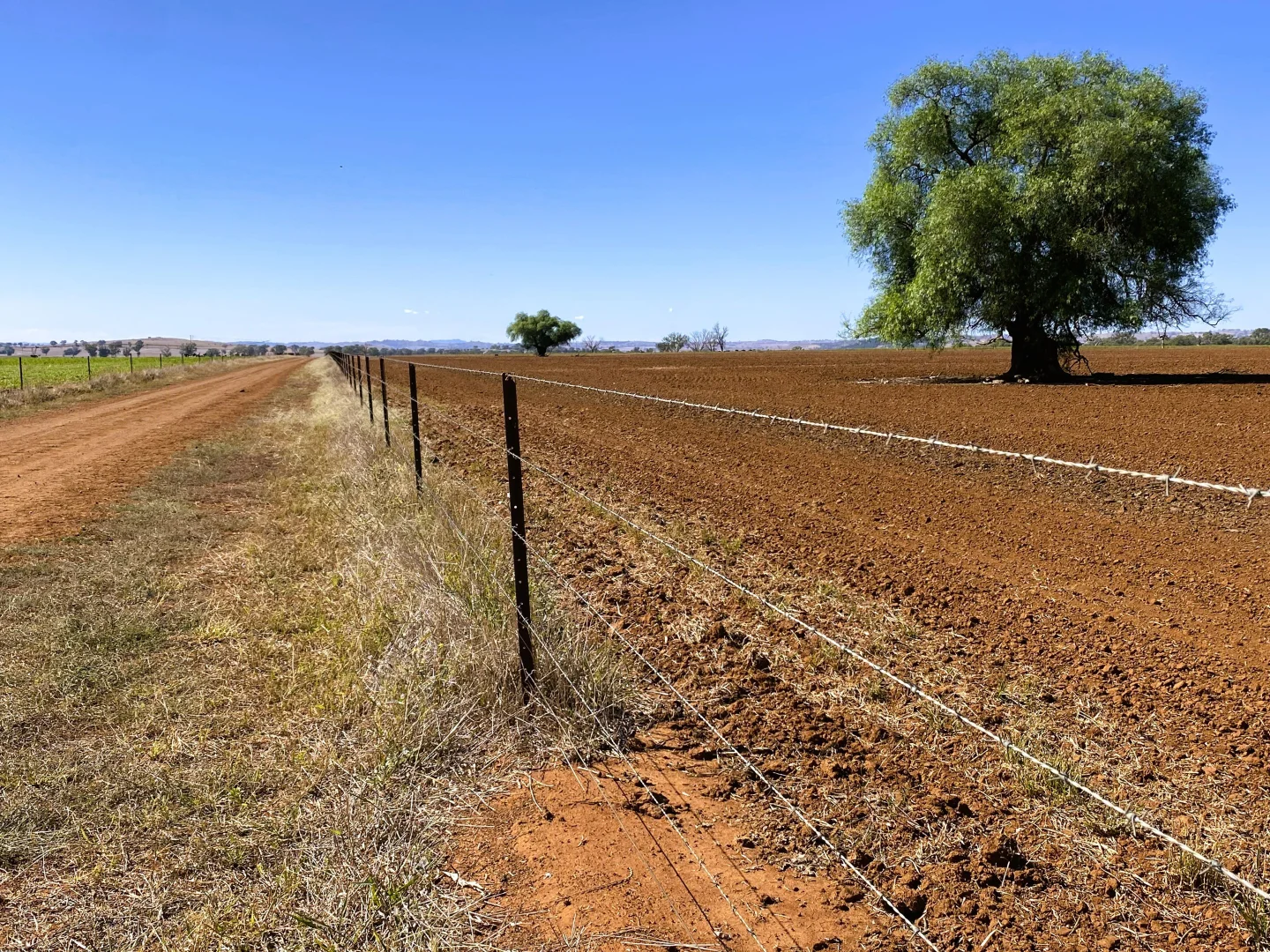 Additional image 28 of 448 Nangar Road, Canowindra NSW 2804