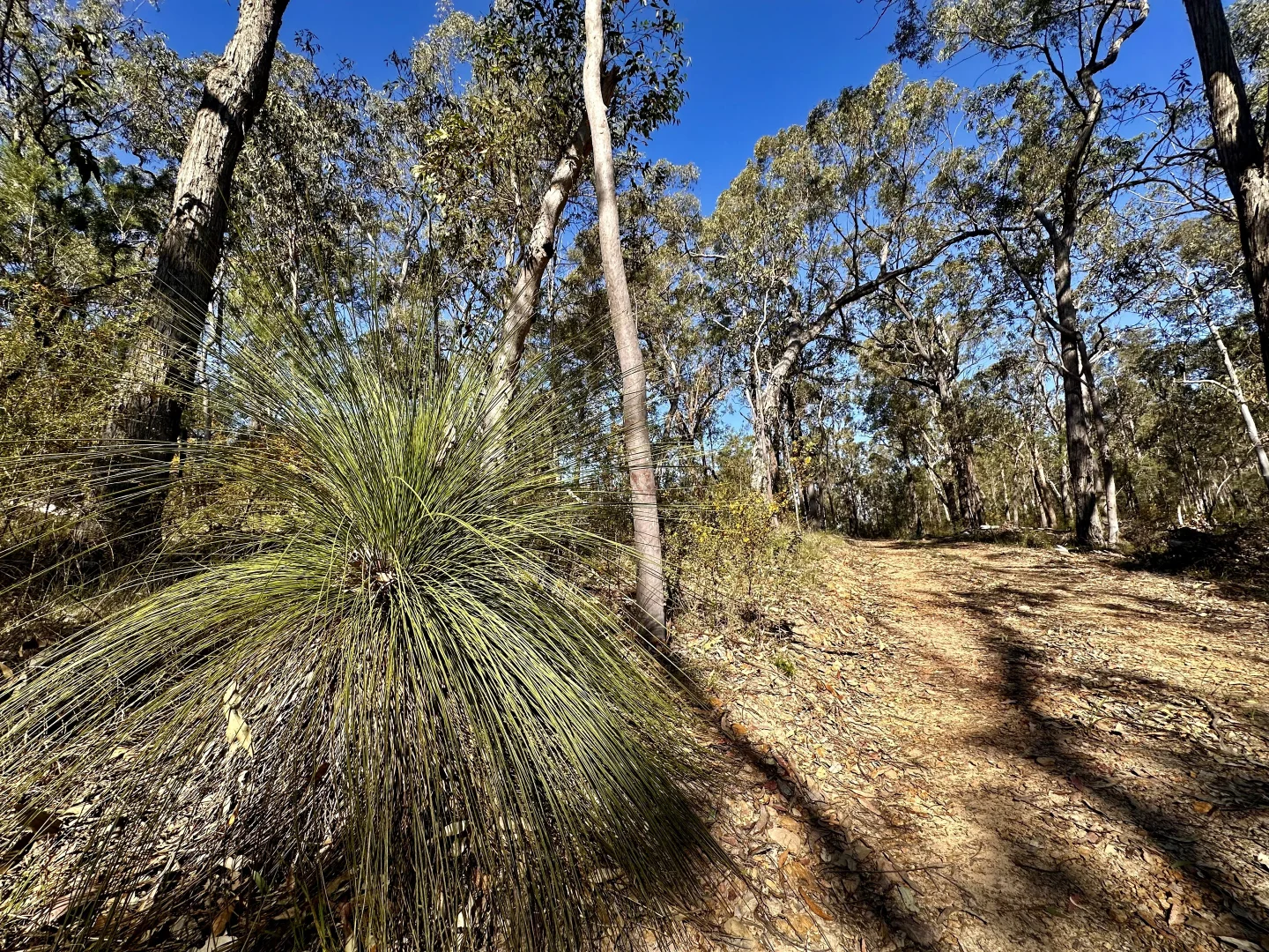 Additional image 21 of 3300 Great North Road, Wollombi NSW 2325