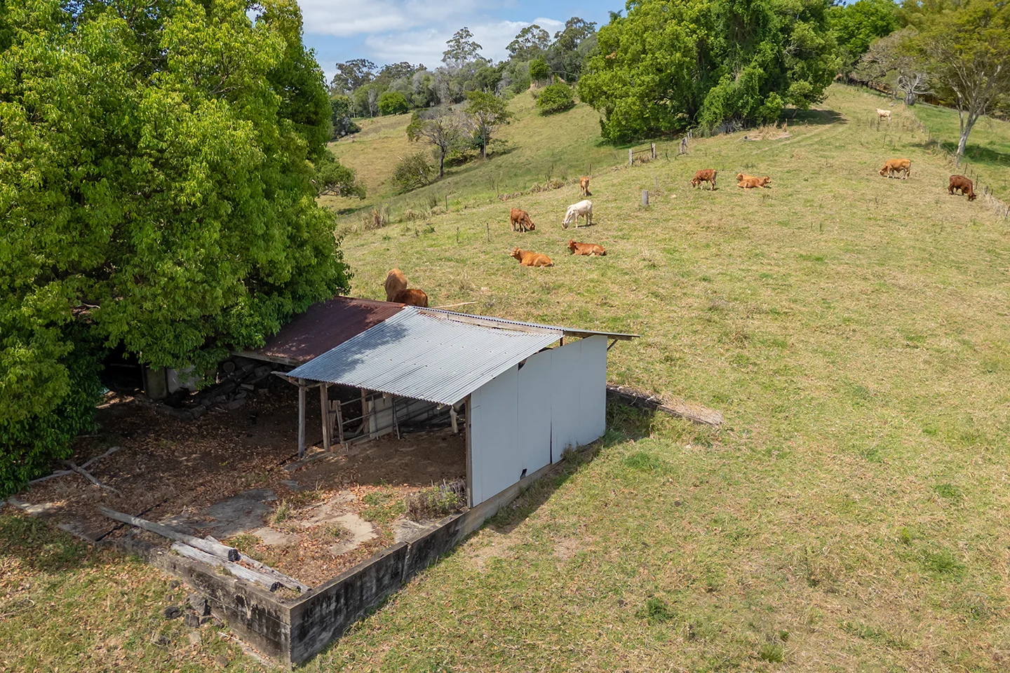 Additional image 12 of 220 Black Mountain Range Road, Black Mountain QLD 4563