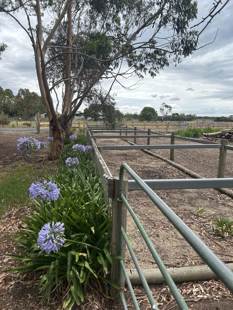 Additional image 6 of Moolap VIC 3224