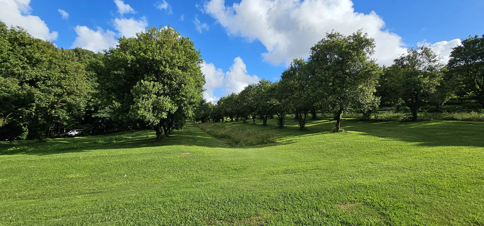 Additional image 13 of 81 Shaws Lane, Alstonville NSW 2477