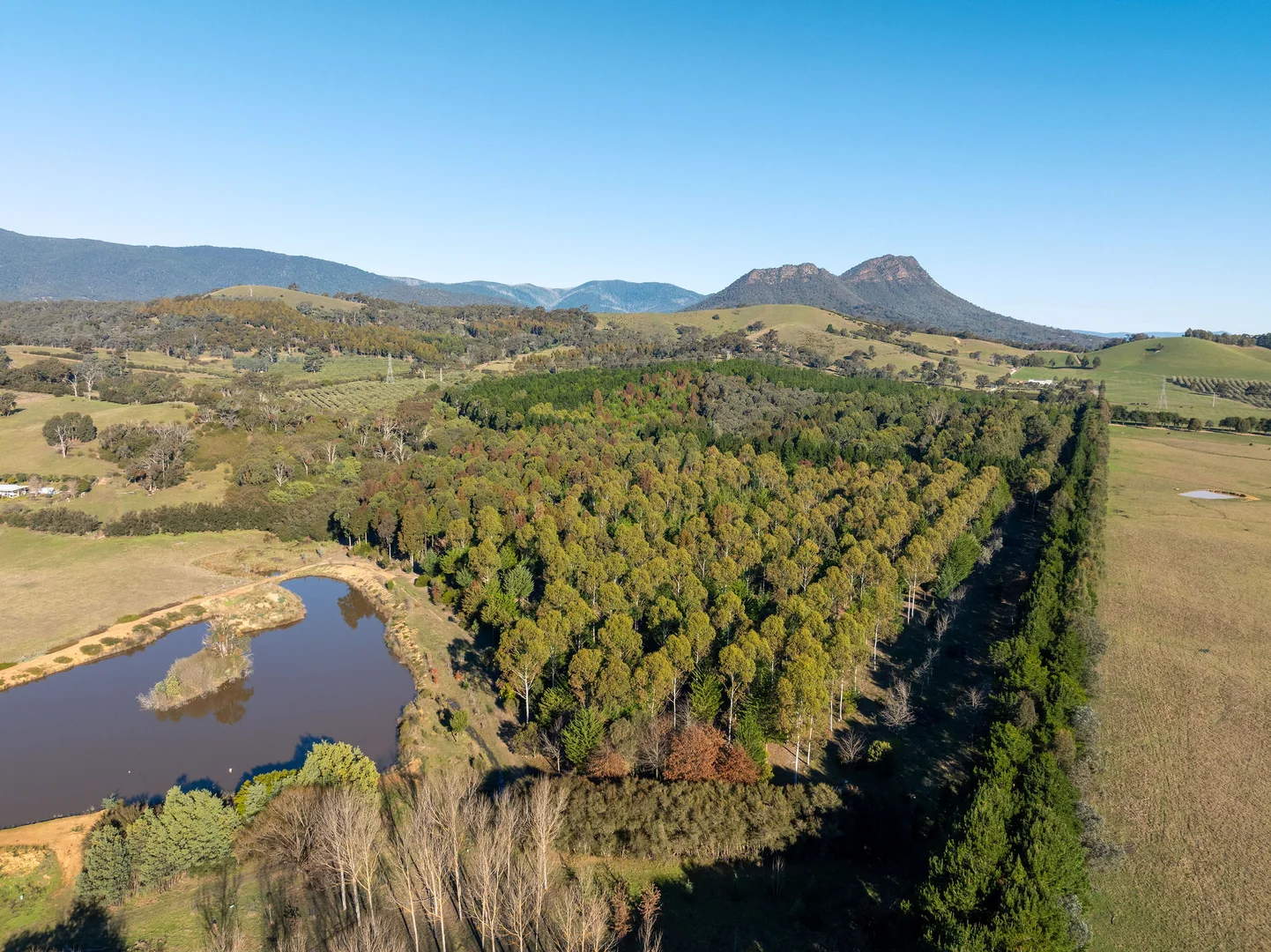 Additional image 8 of 252 Taggerty - Thornton Road, Taggerty VIC 3714