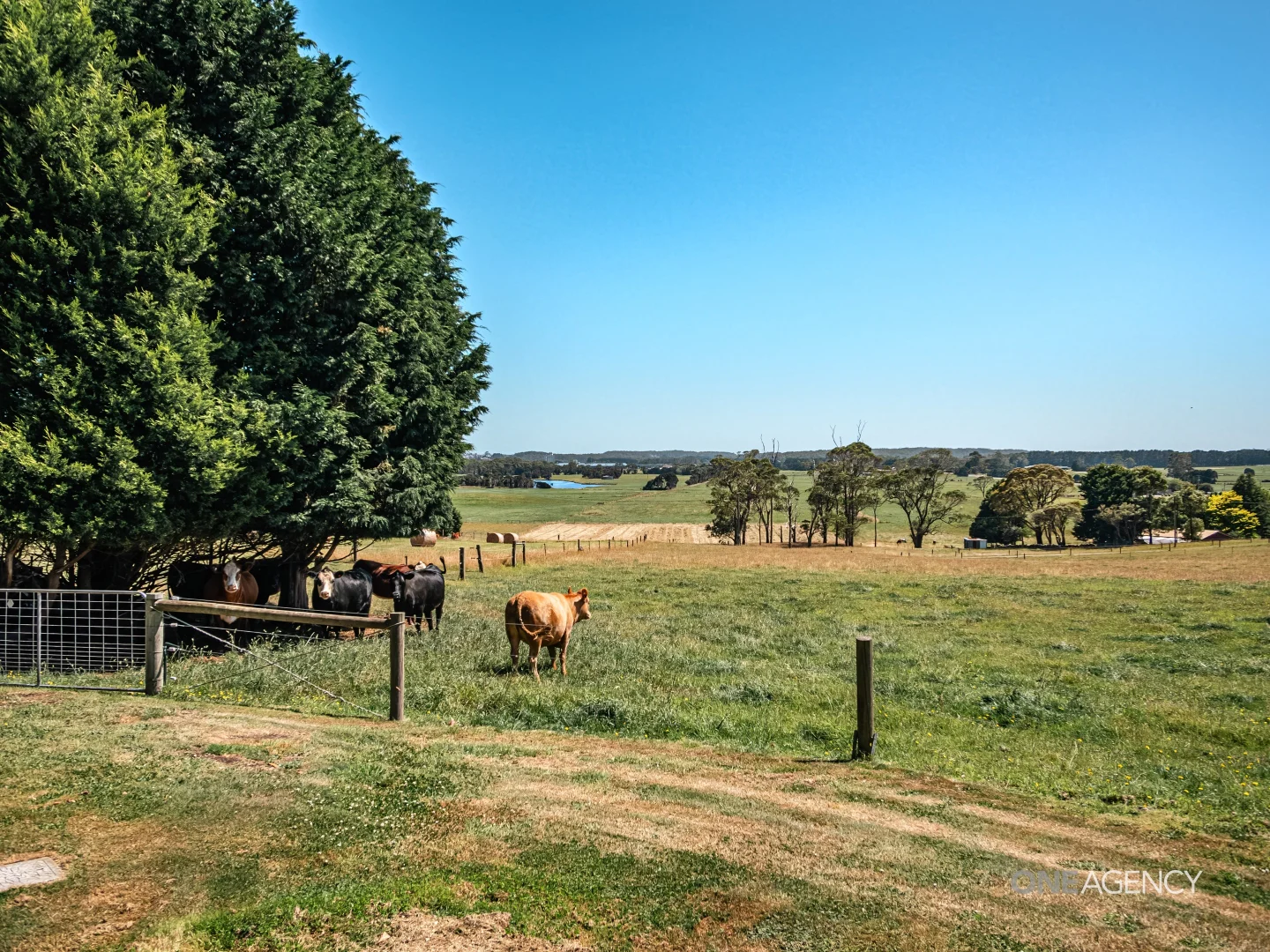 Additional image 18 of 310 Irishtown Road, Smithton TAS 7330