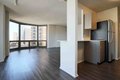 1130 N Dearborn St Unit 2-2, Chicago, IL, 60610