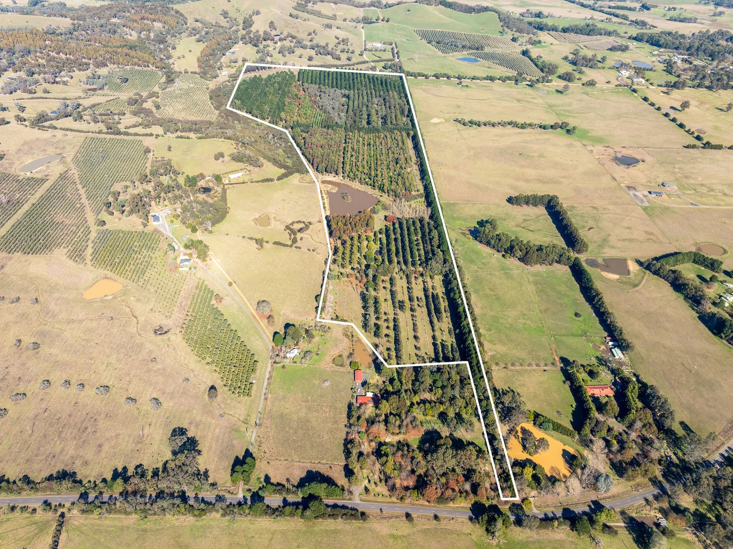 Additional image 2 of 252 Taggerty - Thornton Road, Taggerty VIC 3714