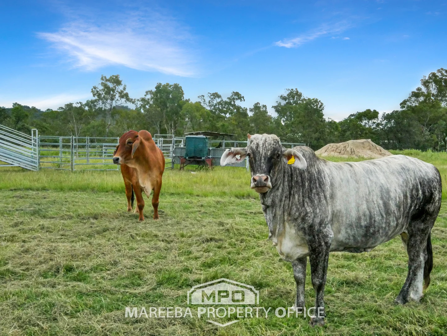 Additional image 23 of 65793 Burke Developmental Road, Dimbulah QLD 4872