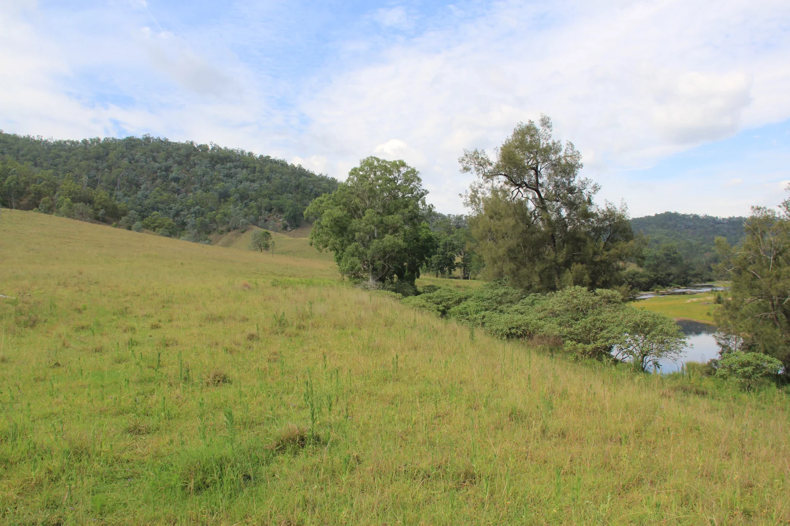 Additional image 3 of 1272 Rocky River Road, Tenterfield NSW 2372
