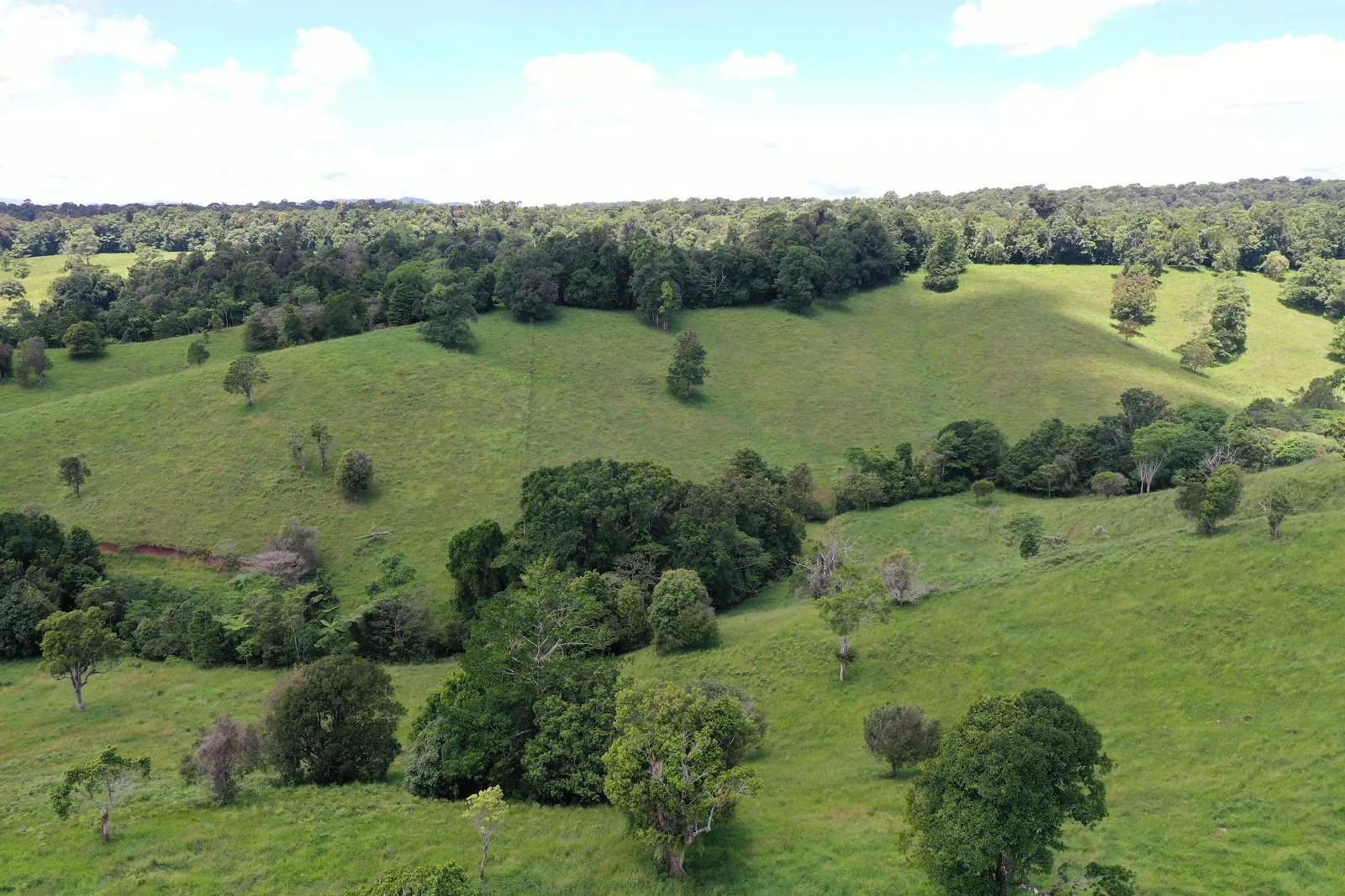 Additional image 12 of 780 MIDDLEBROOK ROAD, Millaa Millaa QLD 4886