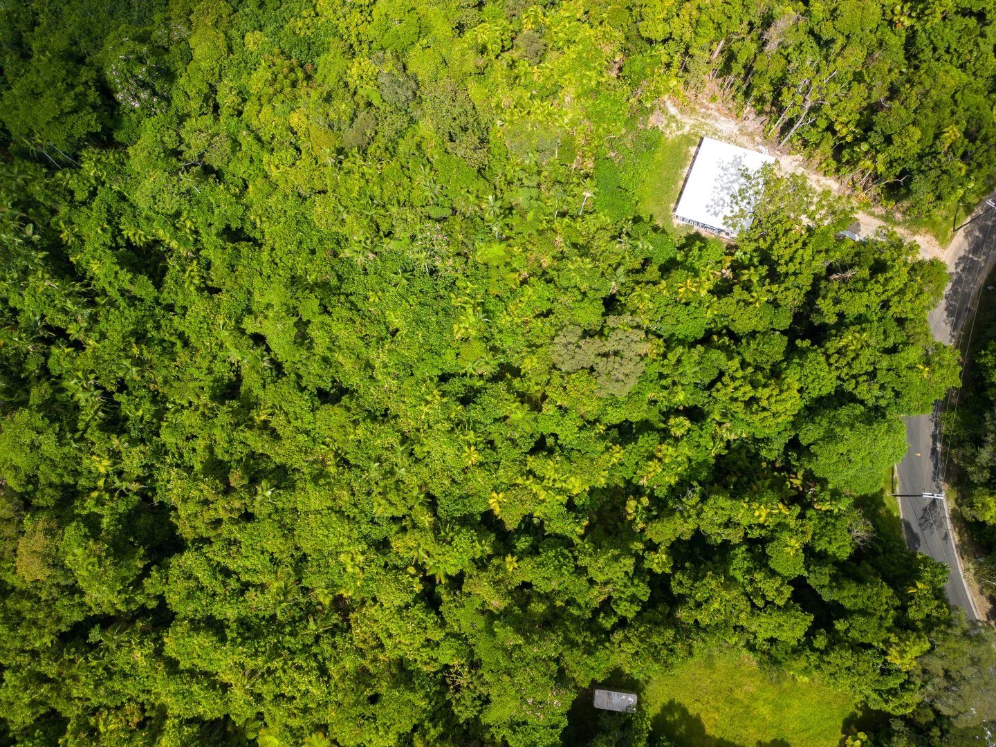 Additional image 5 of Lot 61 Greendale Road, Jubilee Heights QLD 4860