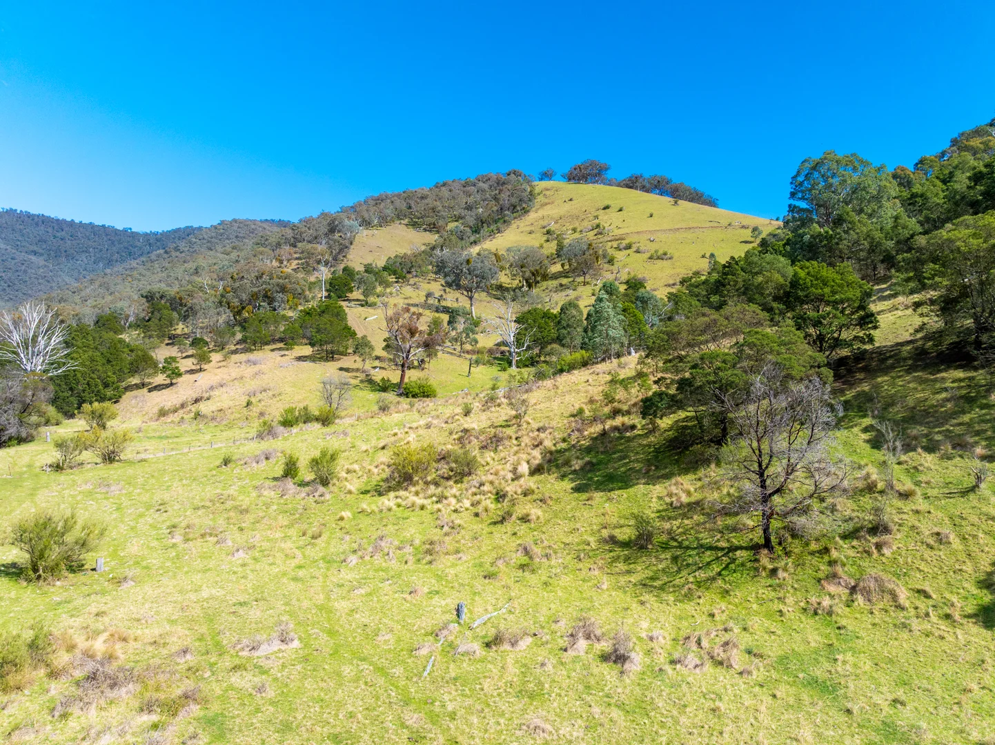Additional image 11 of 1139 Ensay-Doctors Flat Road, Ensay VIC 3895