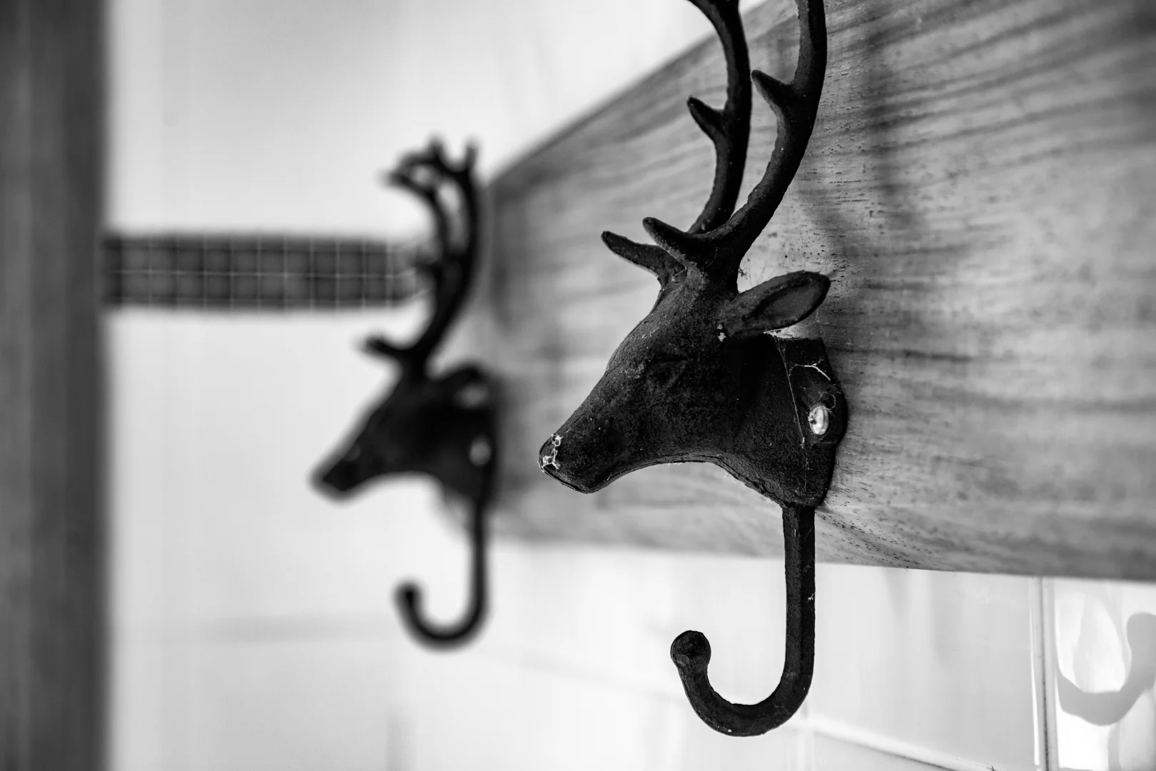 Additional image 35 of 50 Blencowes Lane, Wildes Meadow NSW 2577