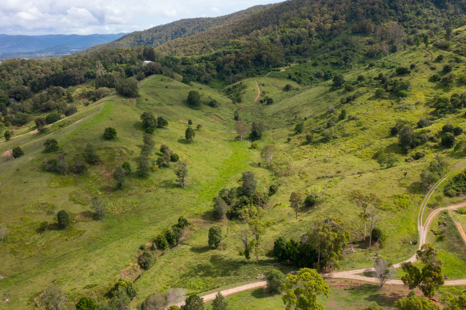 Additional image 16 of 155 Vidoni Road, Mount Delaney QLD 4514