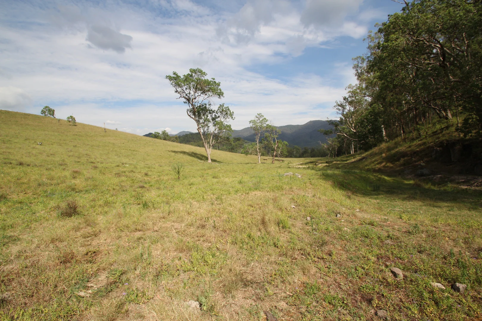 Additional image 12 of 1272 Rocky River Road, Tenterfield NSW 2372