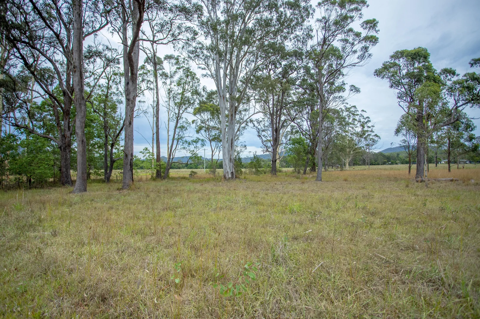 Additional image 24 of 907 Comboyne Road, Wingham NSW 2429