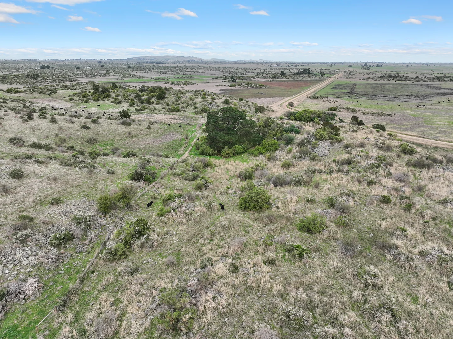 Additional image 6 of 230 Cockerills Rd, Dreeite VIC 3249