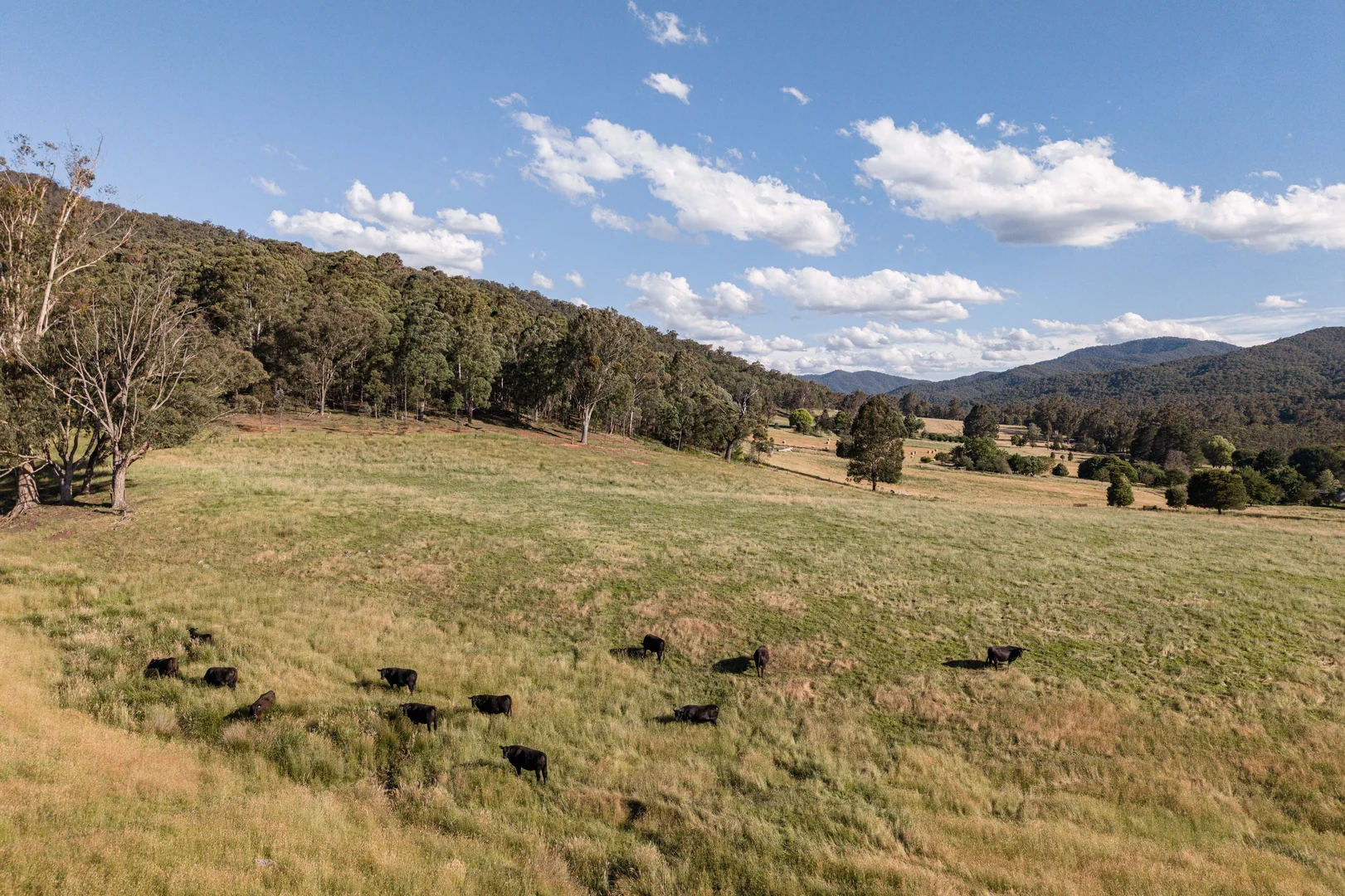 Additional image 21 of 495 Kancoona South Road, Kancoona VIC 3691