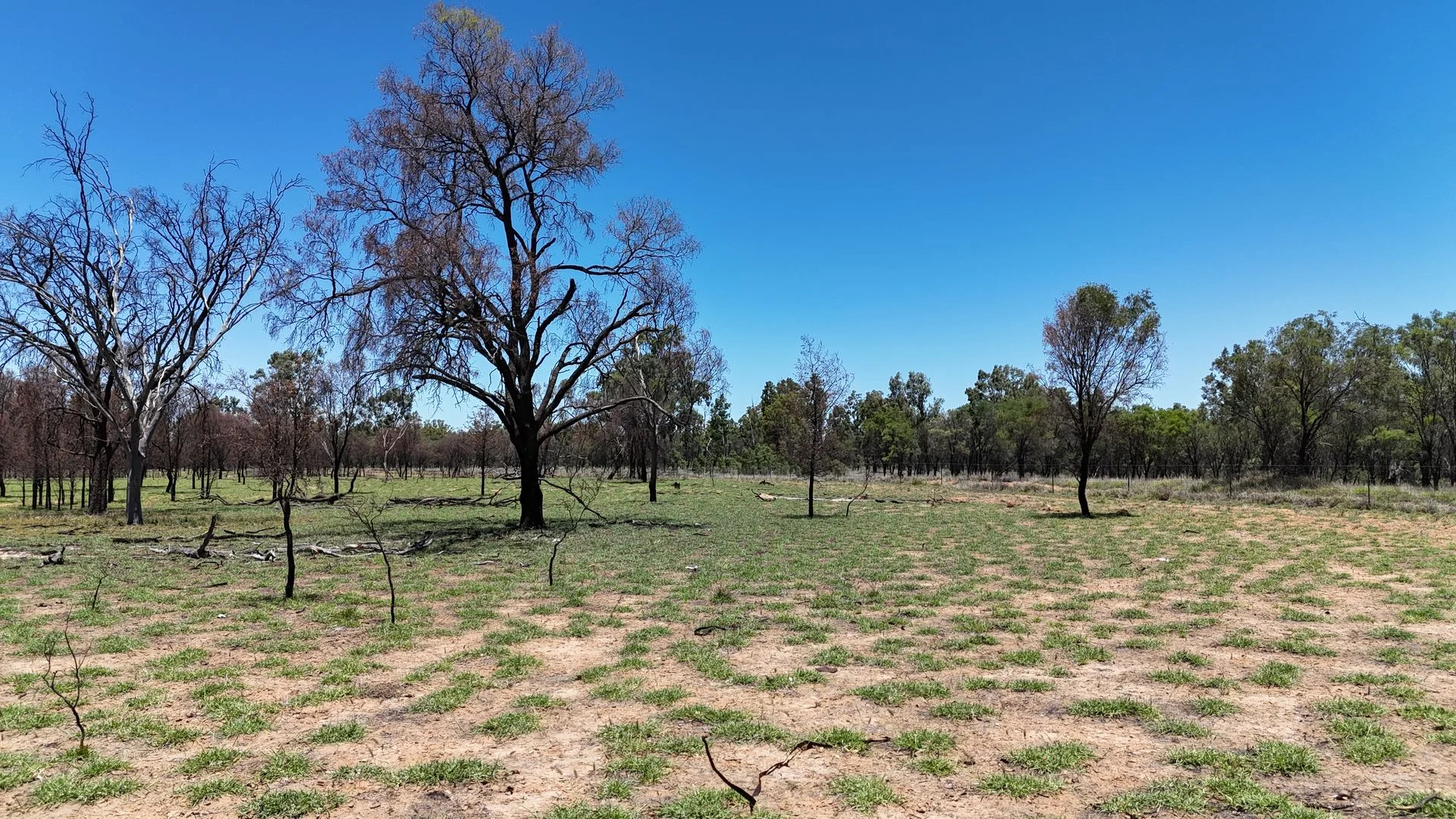 Additional image 15 of 202-410 Wallal Street, Bakers Bend QLD 4470