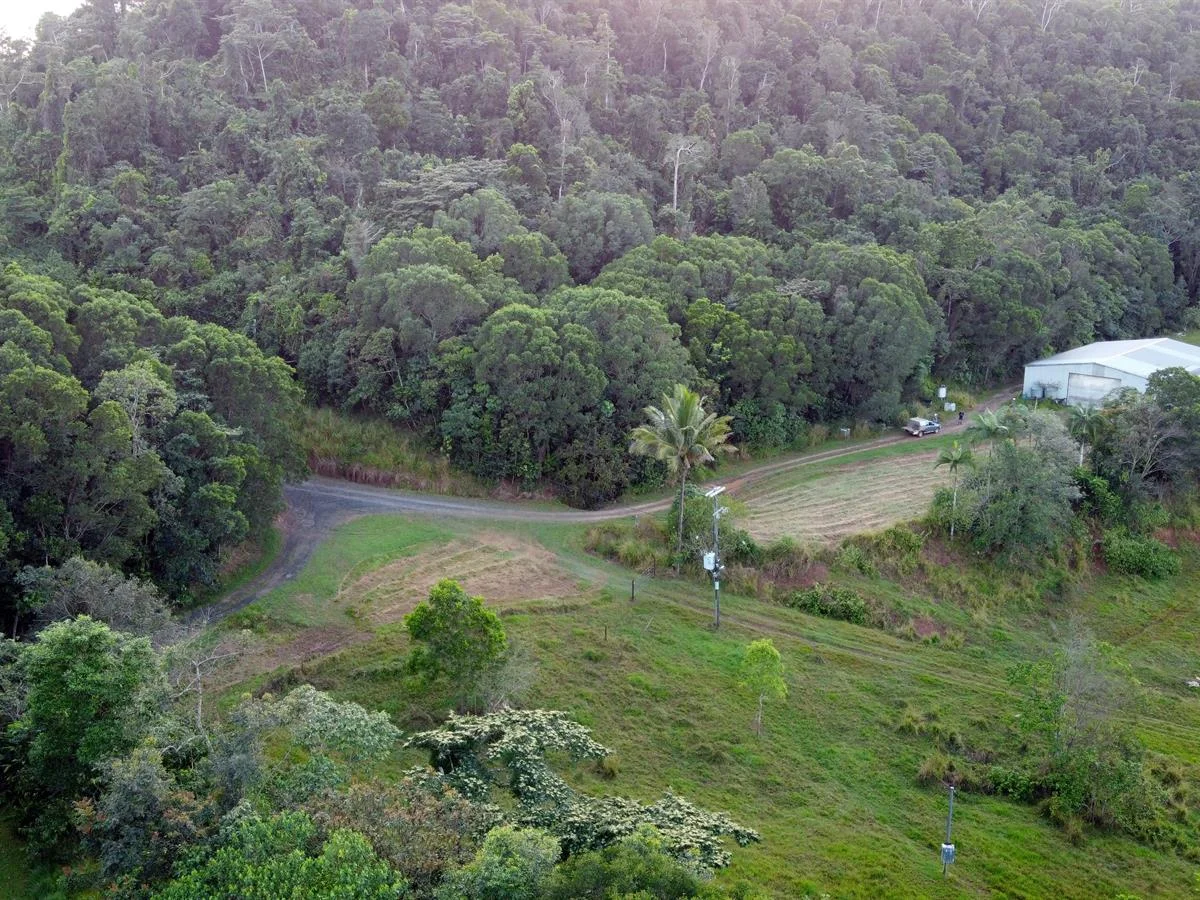 Additional image 6 of 000 Poppi Road, Cowley QLD 4871