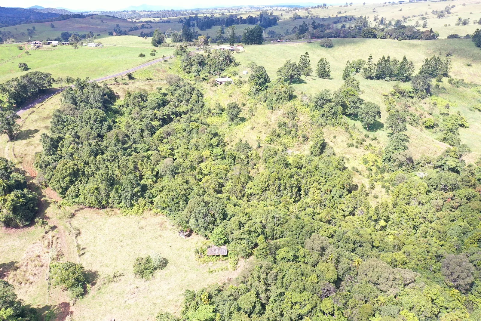 Additional image 11 of 581 Theresa Creek Road, Millaa Millaa QLD 4886