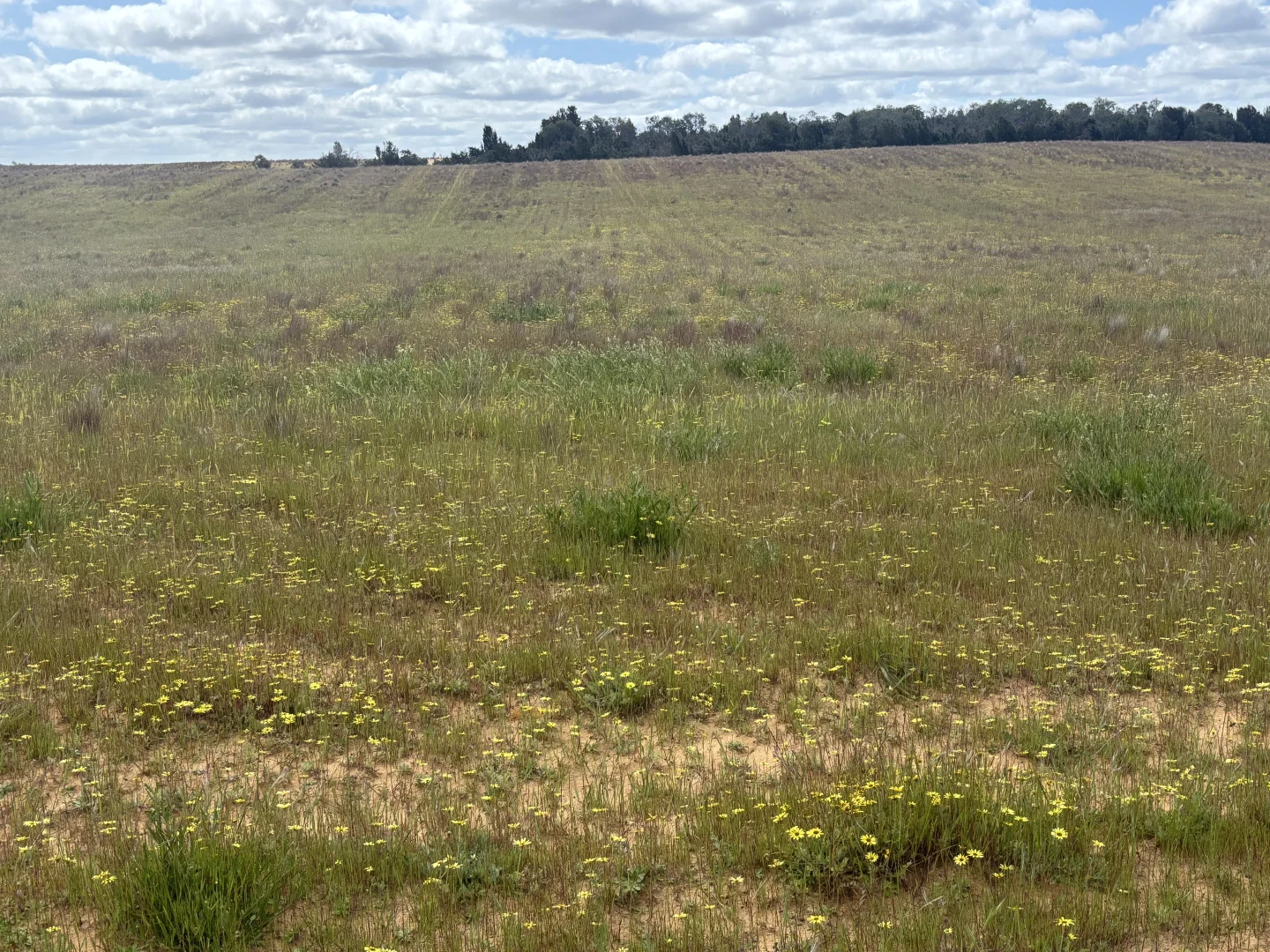 Additional image 28 of 1105 Coorow-Greenhead Road, Coorow WA 6515