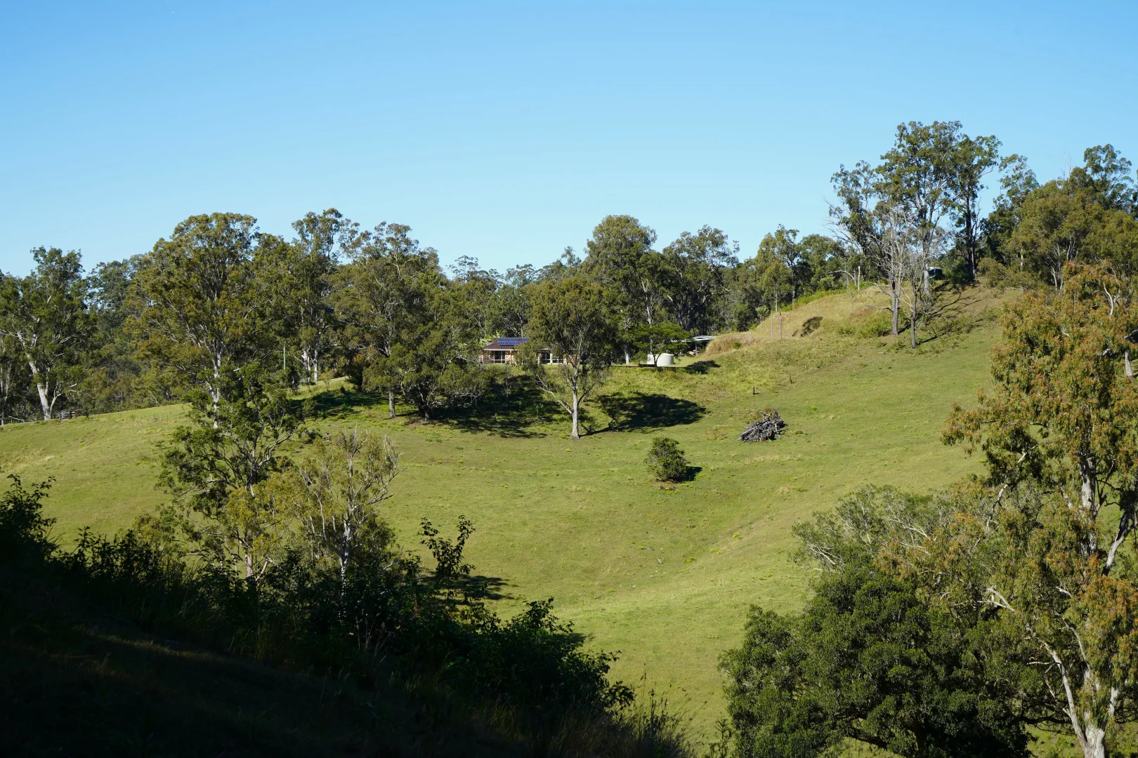 Additional image 31 of 2425 Pine Creek Road, Kyogle NSW 2474