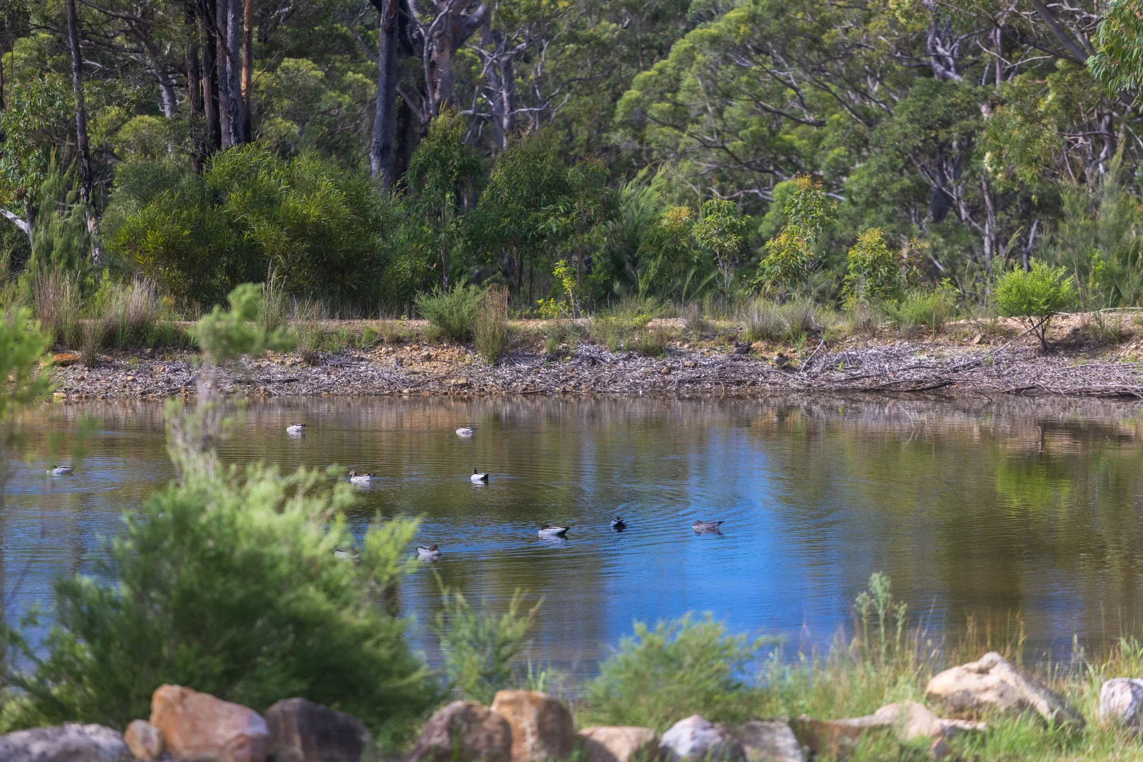 Additional image 26 of Lot 3, 315C Little Forest Road, Little Forest NSW 2538