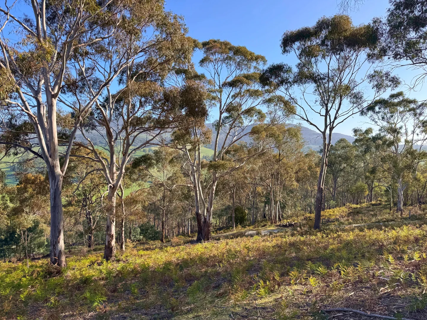 Additional image 6 of 26 Kandara Court, Campania TAS 7026