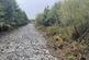 Additional image 4 of Maudland, Rhos, Carmarthenshire SA33
