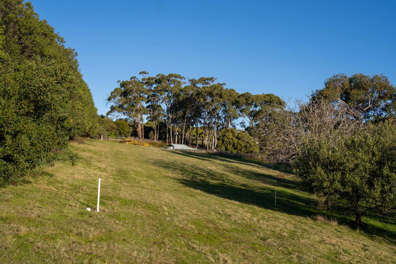 Additional image 12 of 18 Alexander Street, Leith TAS 7315