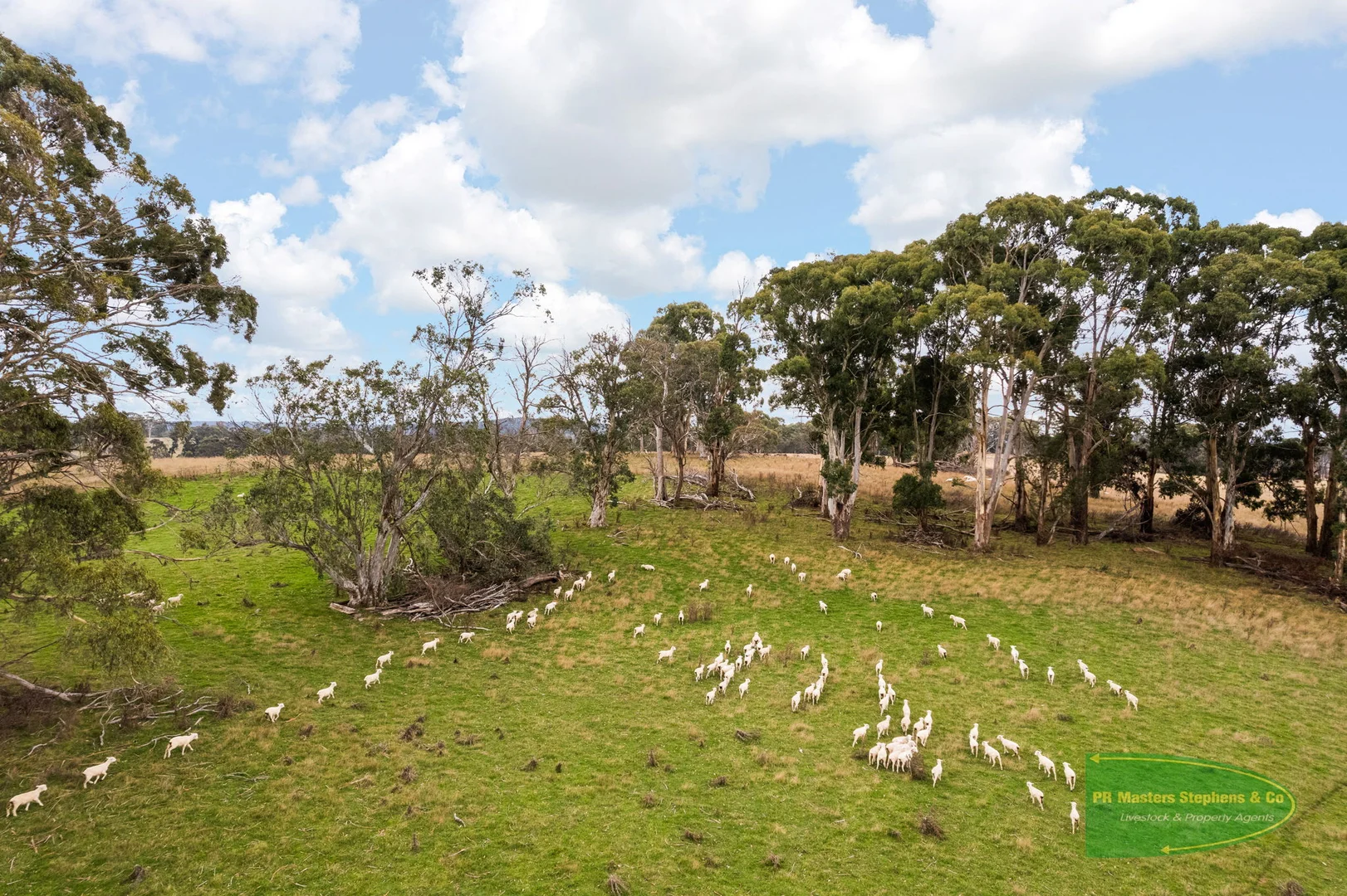 Additional image 14 of 800 Riverview Forest Road, Mozart NSW 2787