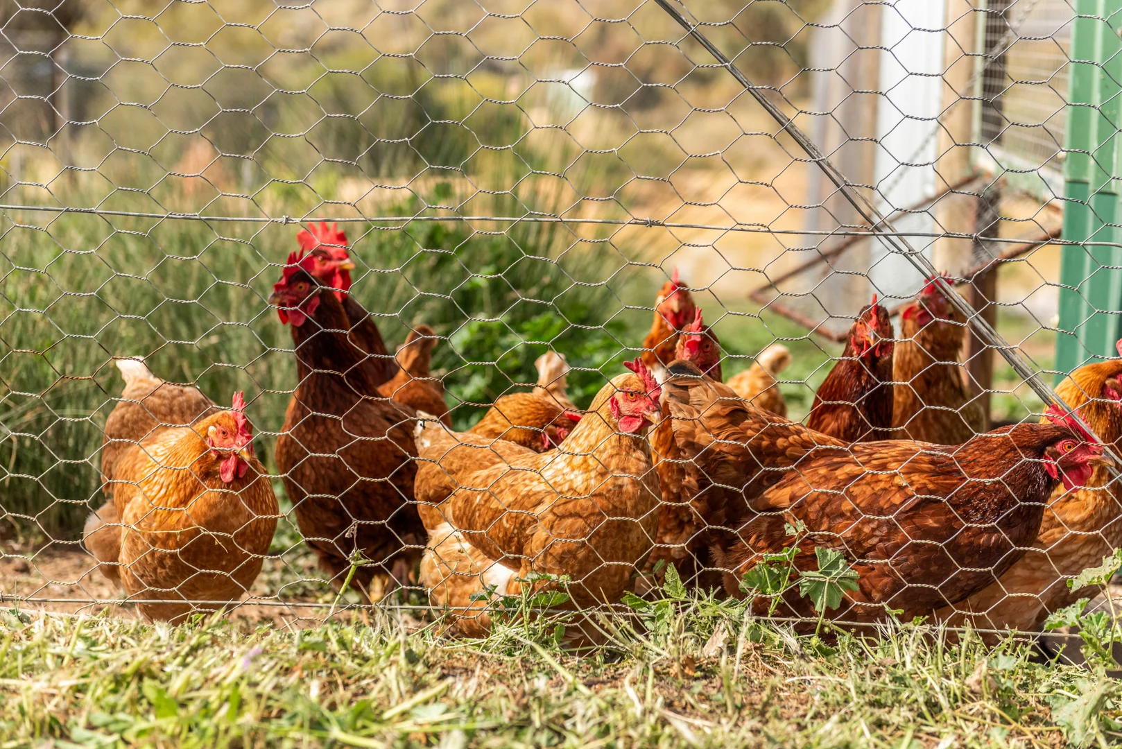 Additional image 7 of 109 Meadows Lane, Heathcote VIC 3523