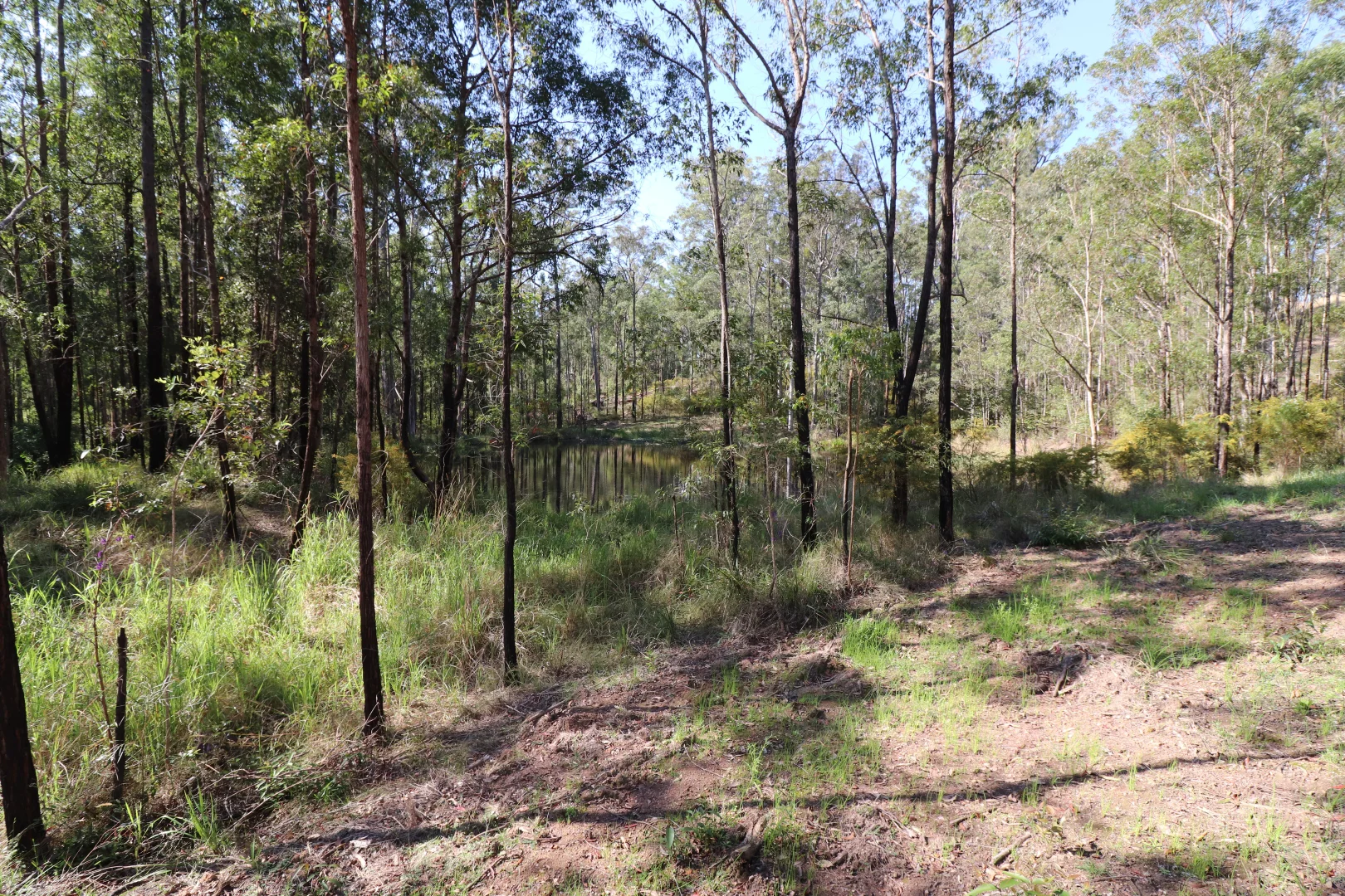 Additional image 12 of Lot 41 Collombatti Road, Collombatti NSW 2440