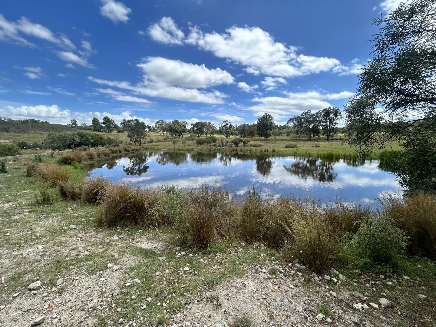 Additional image 21 of 60 Windorah Road, Inverell NSW 2360