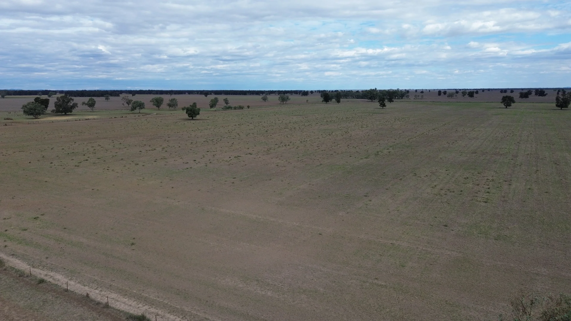 Additional image 14 of Forbes NSW 2871