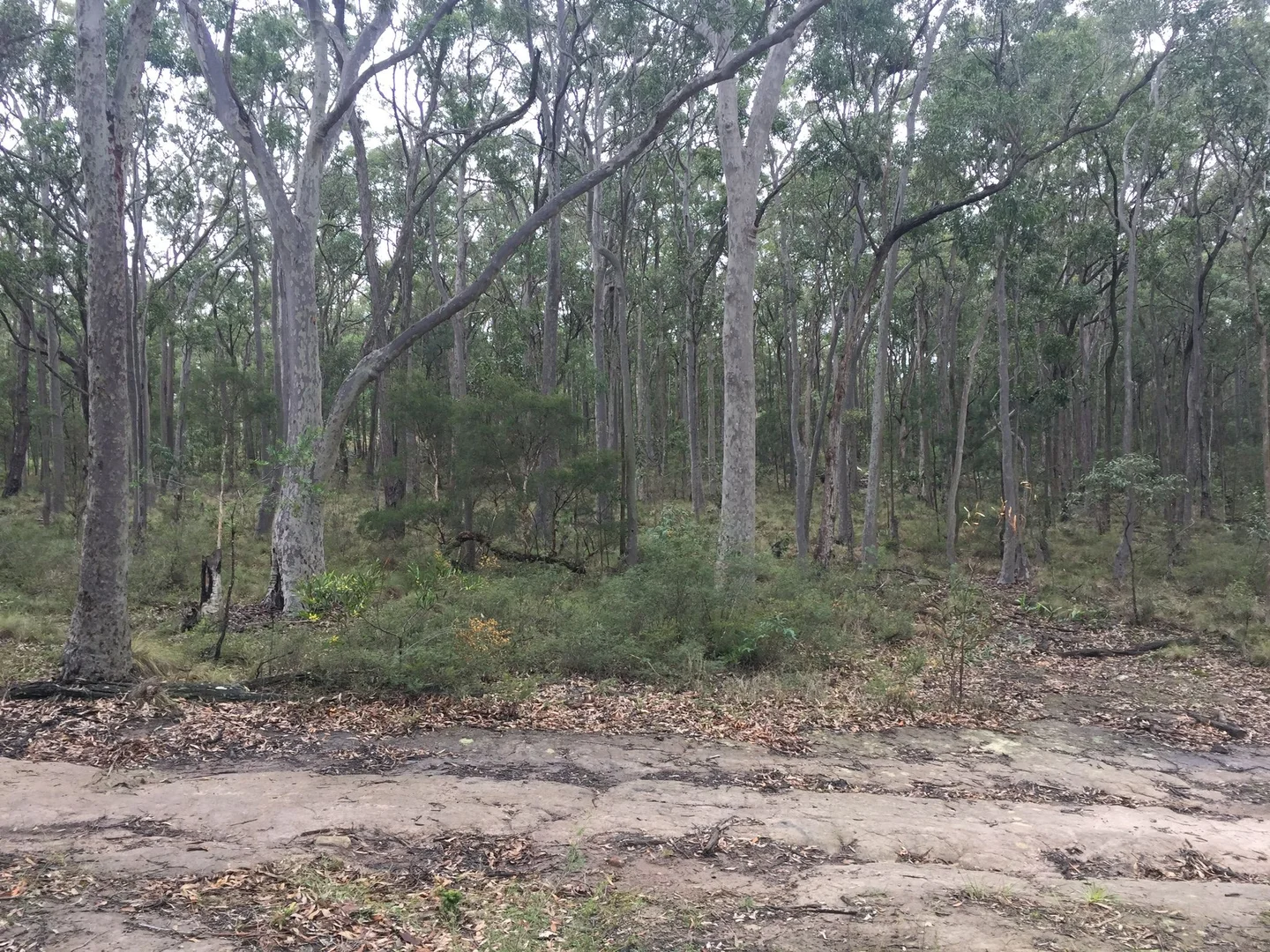 Additional image 7 of 584 Moonabung Rd, Vacy NSW 2421