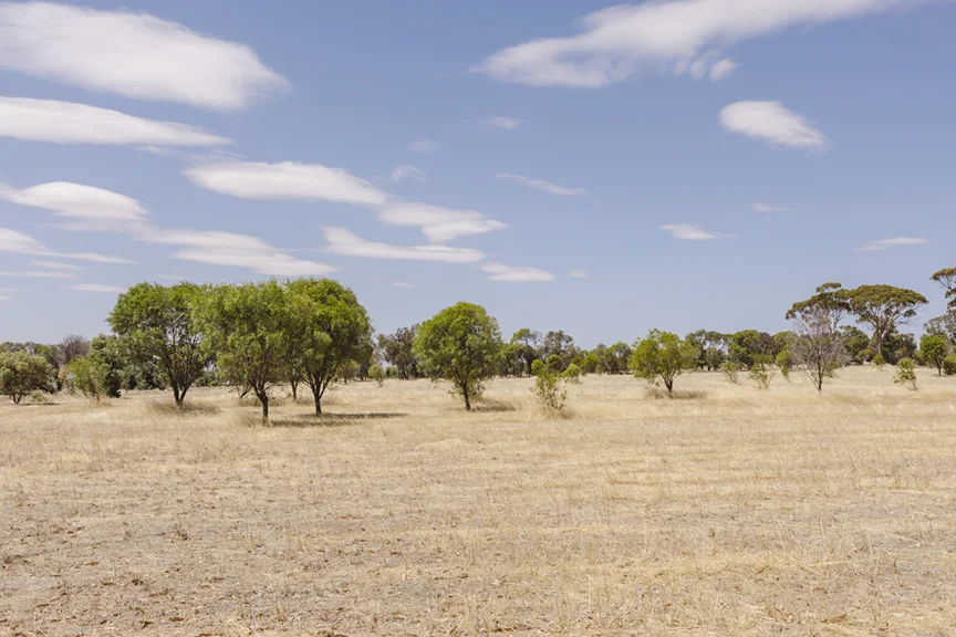 Additional image 23 of 2 York Road, Popanyinning WA 6309