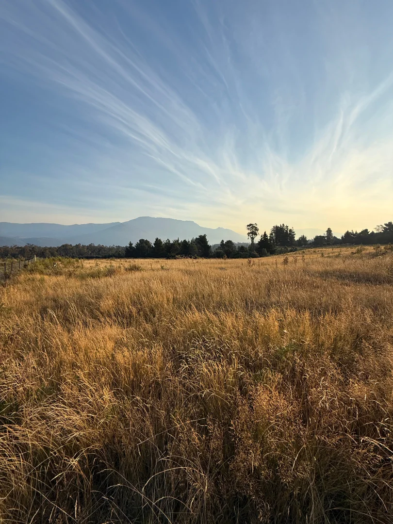 Additional image 4 of 1390 Loongana Road, Loongana TAS 7315